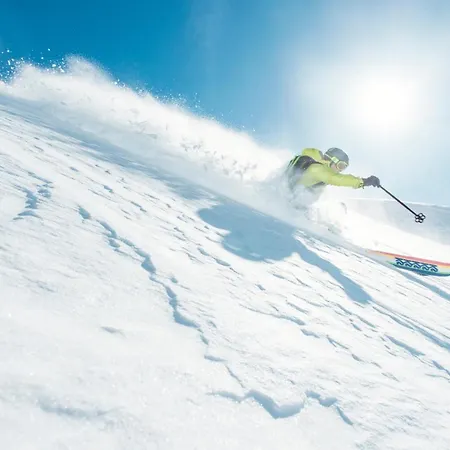 Отель Trofana Alpin 4*